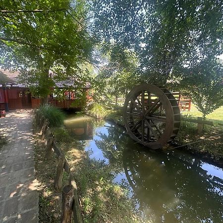 Villa Kumova Vodenica à Markova Crkva Extérieur photo