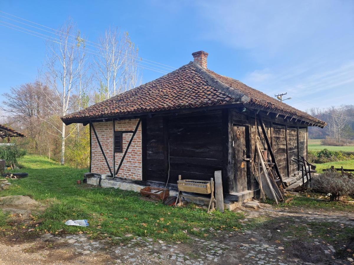 Villa Kumova Vodenica à Markova Crkva Extérieur photo